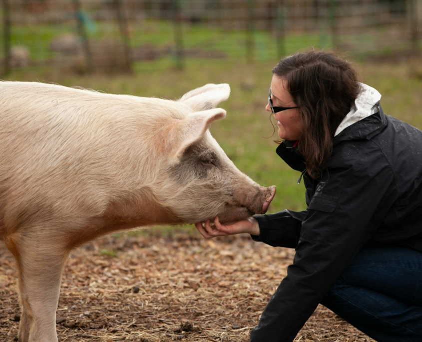 ben-mater-ek56eeYMKoQ-unsplash