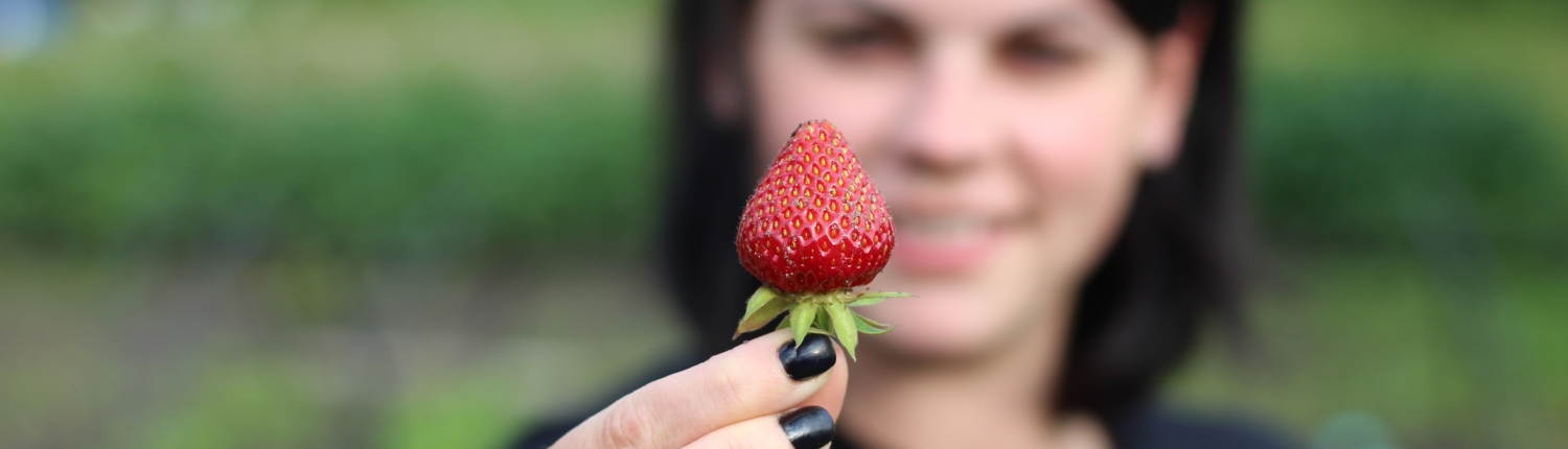 peterpike-harvest-7165645